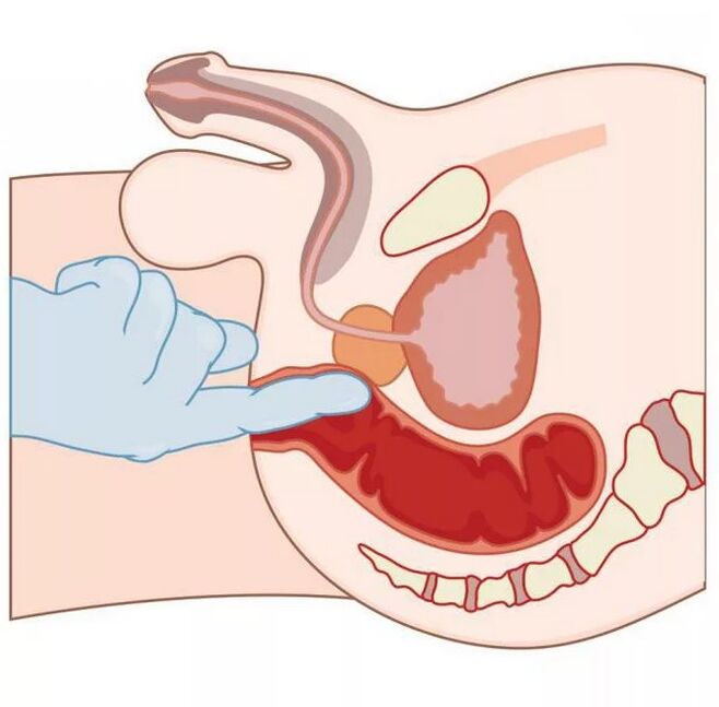 Lokasyon ng Lalaki G-Spot