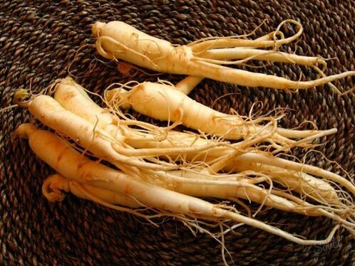 ginseng root upang mapataas ang potency pagkatapos ng 60