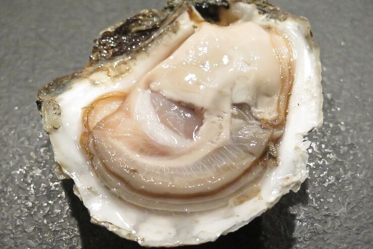 talaba upang madagdagan ang potency